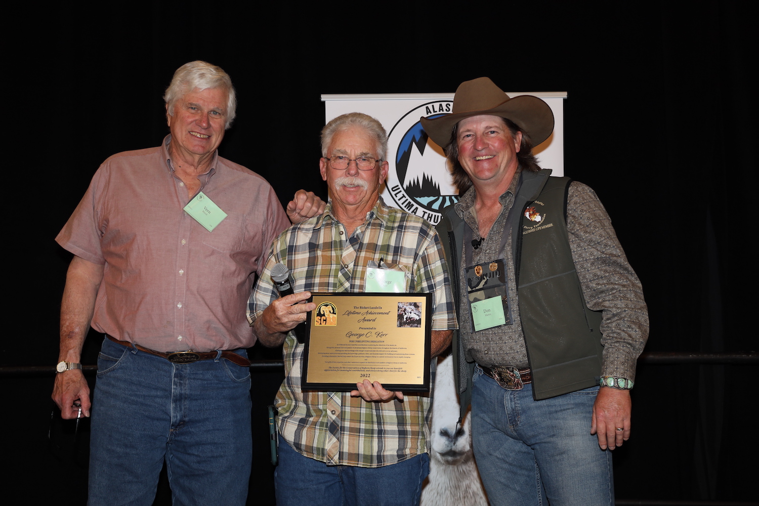 Alt Text is good for SEO