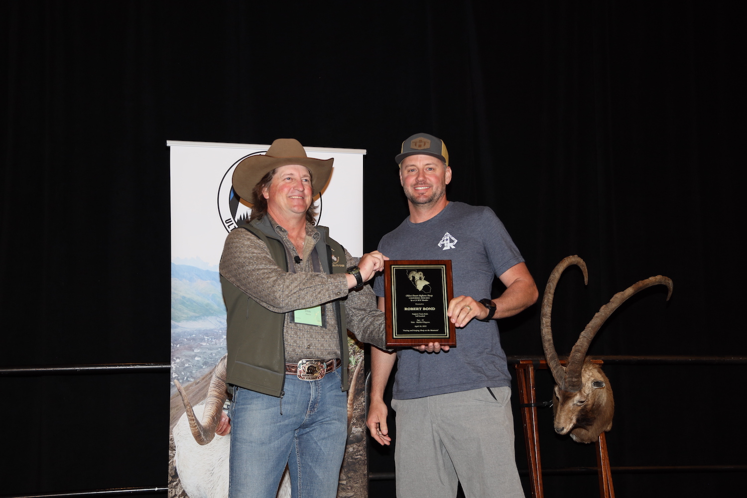 Alt Text is good for SEO