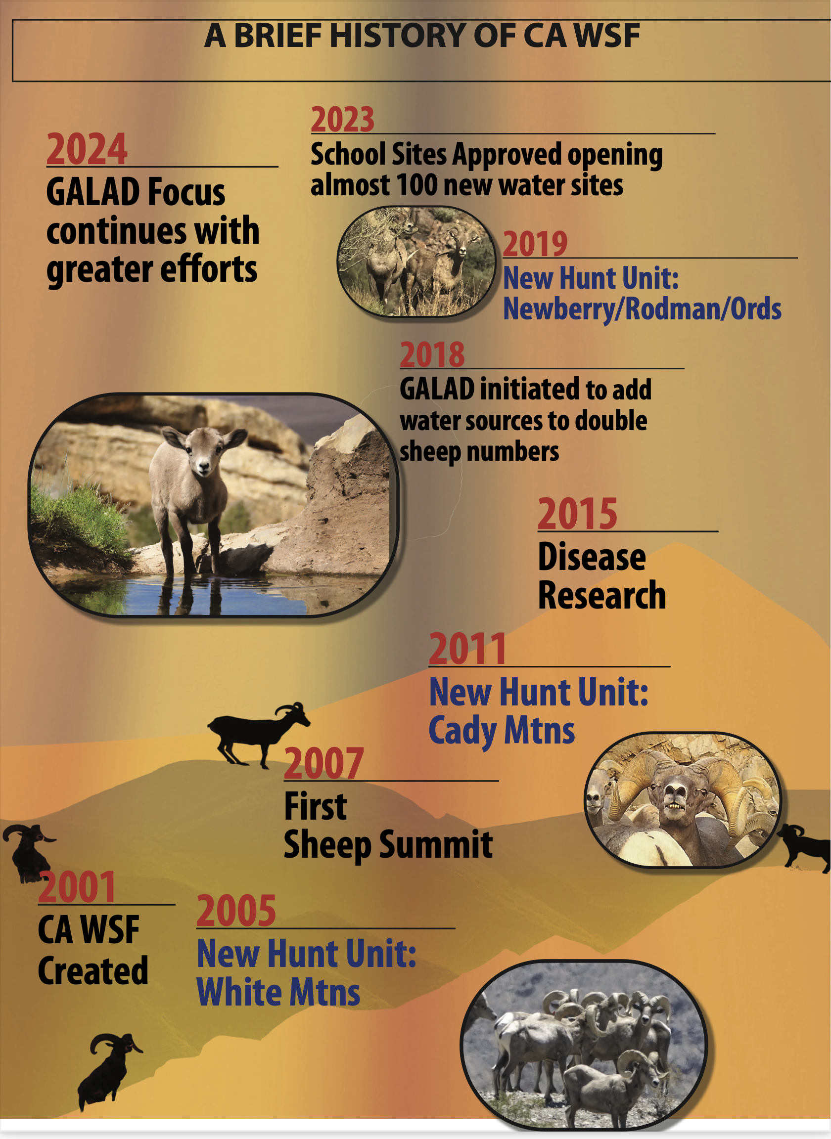 Distinguished Life Member Vest