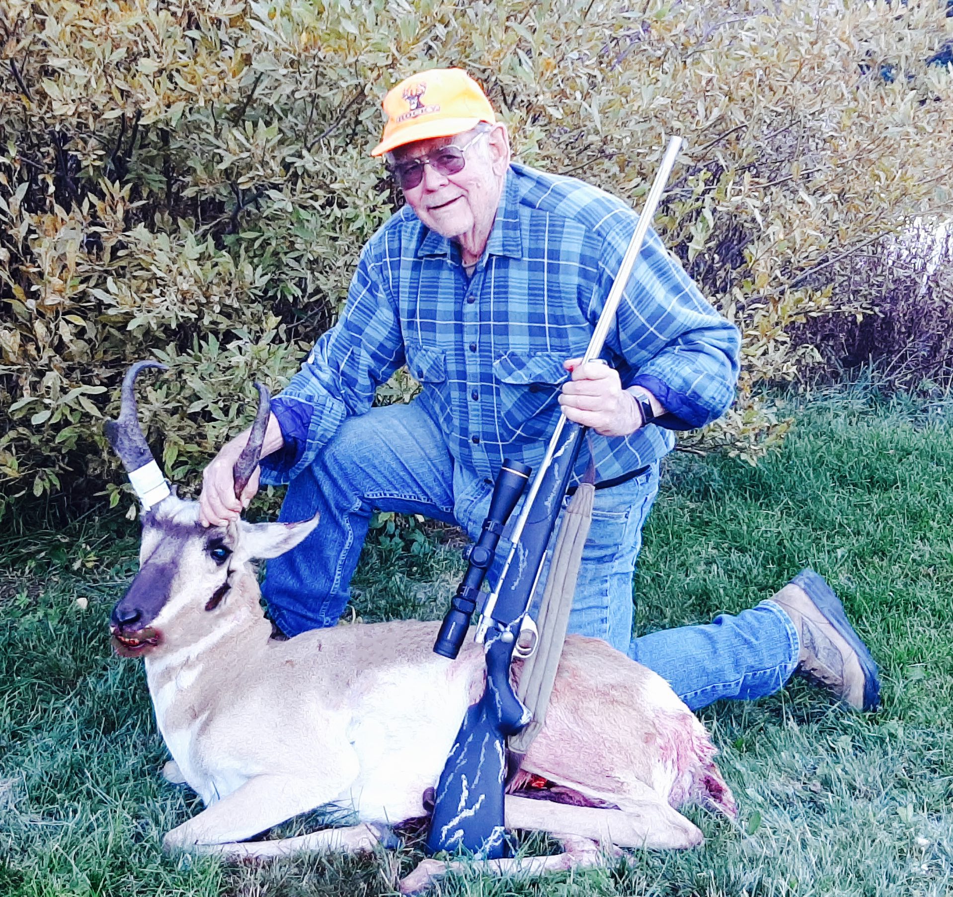 Bob-Keagy-Pronghorn