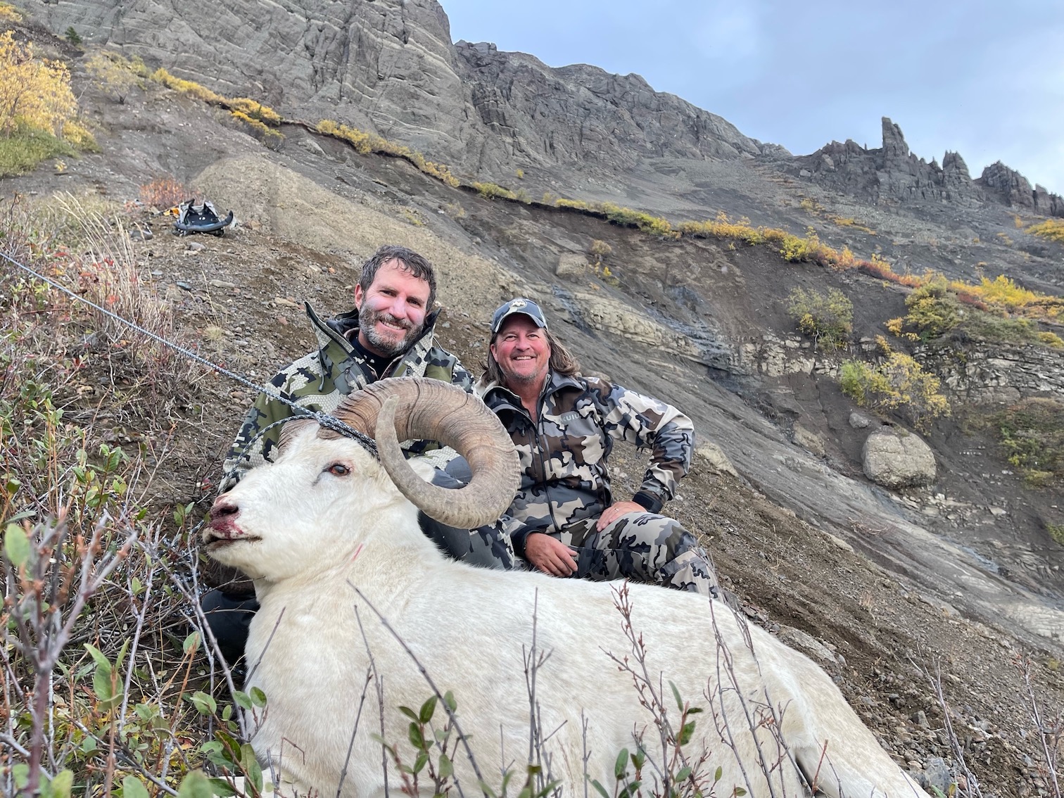 Eduardo-Negrete-Dall-Sheep-40-Inch-UTO.jpg