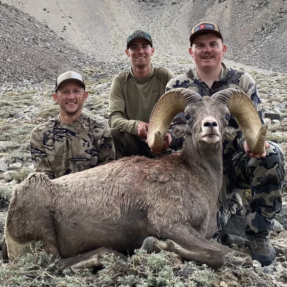 Mac-Cole-Desert-Sheep-White-Mtns-2022-Kellogg-Trophy-Hunts.jpg